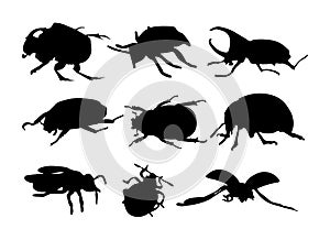 Bugs silhouette isolated on white background