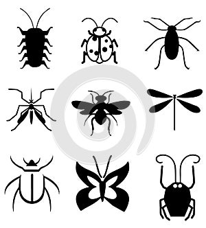 Bugs vector