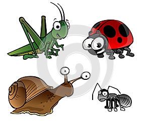 Bugs on a white background