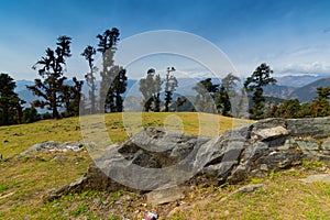 Bugyals, flat lands at upper Himalayas, Uttarakhand, India