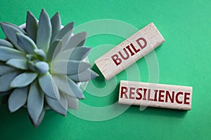 Build resilience symbol. Wooden blocks with words Build resilience. Beautiful green background with succulent plant. Business and