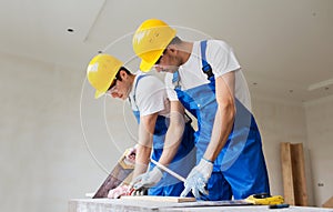 Builders working with arm-saws photo