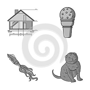 Building, animal and other monochrome icon in cartoon style. Desert, rock icons in set collection.