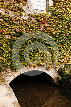 Building arch covered with ivy. A stream or river flows under the arch