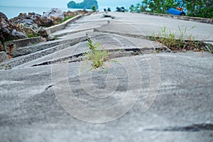 building background road crack texture with copy space. image for transport, outdoor, construction, wreck, damage concept