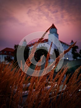 Building of Bratislava castle behind growing wheat during sunset