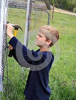 Building a Chicken Coop