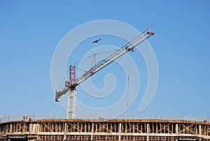 Building Construction Crane