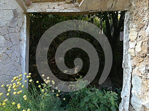 building destroyed by nature