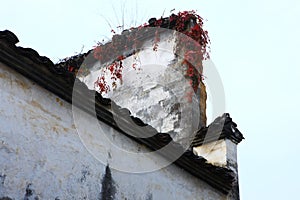 Building details in village XiCun,Wuyuan