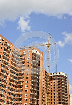 Building with elevating crane