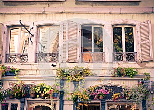 Building facade with windows, shutters and plants from old building in France