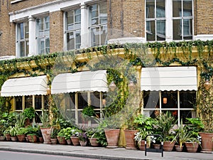 Building faÃ§ade decorated with pots and plants