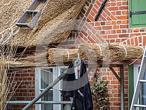 Building a Frisian house reed