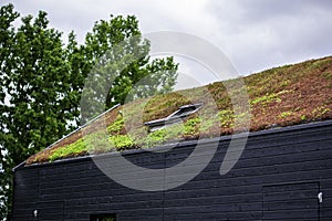 Building with a green roof completely covered with vegetation