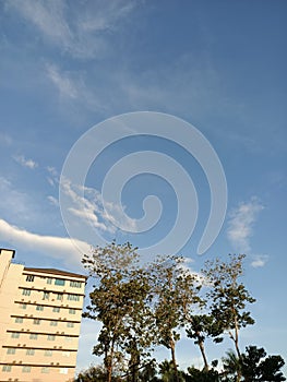 Building highbuilding tree view sky