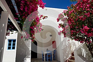 Building of hotel in traditional Greek style and Bougainvillea flowers, Santorini island