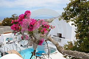 Building of hotel in traditional Greek style with Bougainvillea