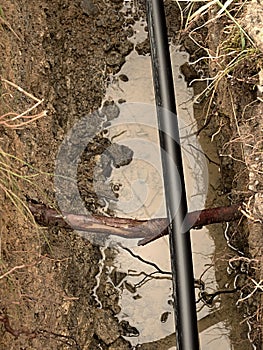 Building of lines of metallic and fiber optic cables. Laying underground tow network connection cable.
