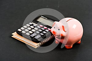 Building managing and preserving your wealth. Piggy bank money savings. Banking and accounting. Financial help services