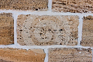 Building material texture. Bricks formed by seashells. Background, texture