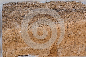 Building material texture. Bricks formed by seashells. Background, texture