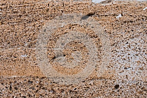 Building material texture. Bricks formed by seashells. Background, texture