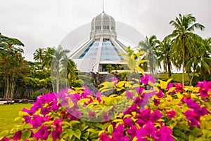 The building is a Museum of cats. Red pink flowers. Kuching, Borneo, Sarawak, Malaysia