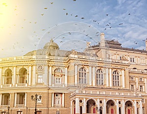 The building of the Opera and Ballet Theater and a flock of pigeons in the sky on an early sunny morning.