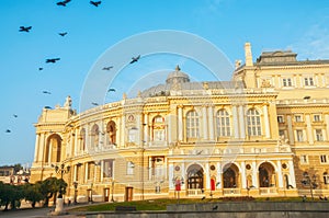 The building of the Opera and Ballet Theater and a flock of pigeons in the sky on an early sunny morning. . Ukraine.