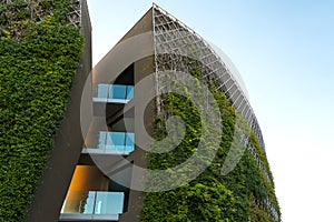 The building is overgrown with plants. Plant facade on a modern building. Green living wall with plants of modern