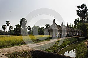 Building on paddy rice field and toddy palms or sugar palm tree with wooden bridge of restaurant and cafe coffee shop for thai