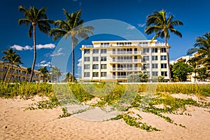 Building and palm trees along the beach in Palm Beach, Florida.