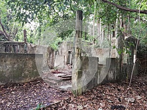 Building ruins in tropical rainforest