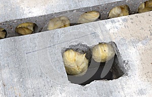 Building site with house under construction - Reinforced concrete floor with isolation