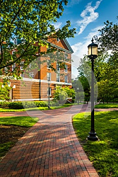 Building and streetlight along a brick walkway at John Hopkins U