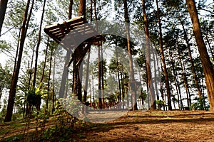 Building to relax in the trees photo