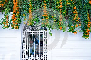 Building with traditional window decorated with fresh orange flowers. Spain, Nerja