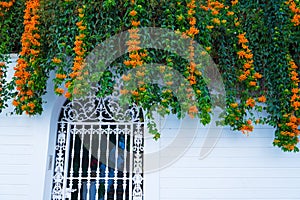 Building with traditional window decorated with fresh orange flowers. Spain, Nerja
