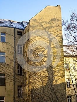 Building with tree shadow