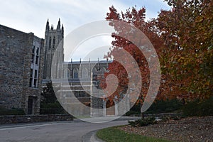 Building, trees and road in Duke University