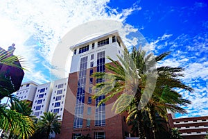 the Building of University of Tampa, a medium-sized private university offering more than 200 programs of study, located at Tampa