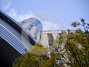 Building view from below in the sky office panoramic windows spring blooms