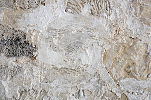 Building Wall at Souq Al-Arsa, the oldest market