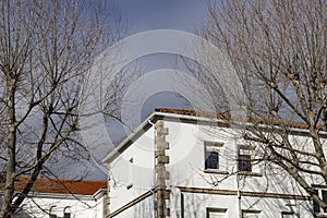 Building. White colored building next to some bare and leafless trees in the surroundings.