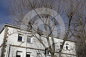 Building. White colored building next to some bare and leafless trees in the surroundings.