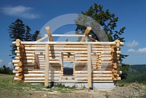 Building wooden cottage