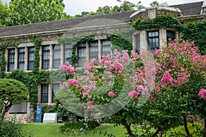 Building in Yonsei University in Seoul, South Korea