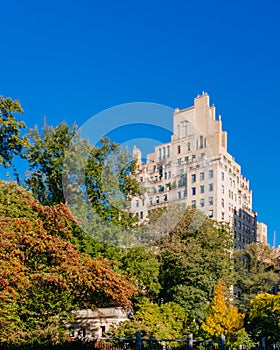 Buildingof midtown Manhattan above autumn trees, viewed from Central Park of New York City, USA