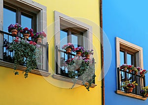 Buildings with beautiful windows, balconies and potted flowers